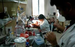 mikrobiologiko1
