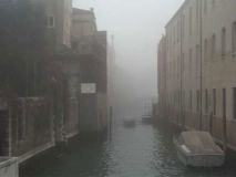 venetia